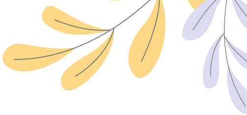 The best Fragrance Collection 2025