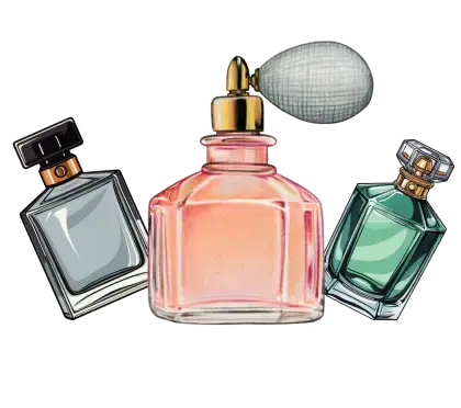 The best Fragrance Collection 2025